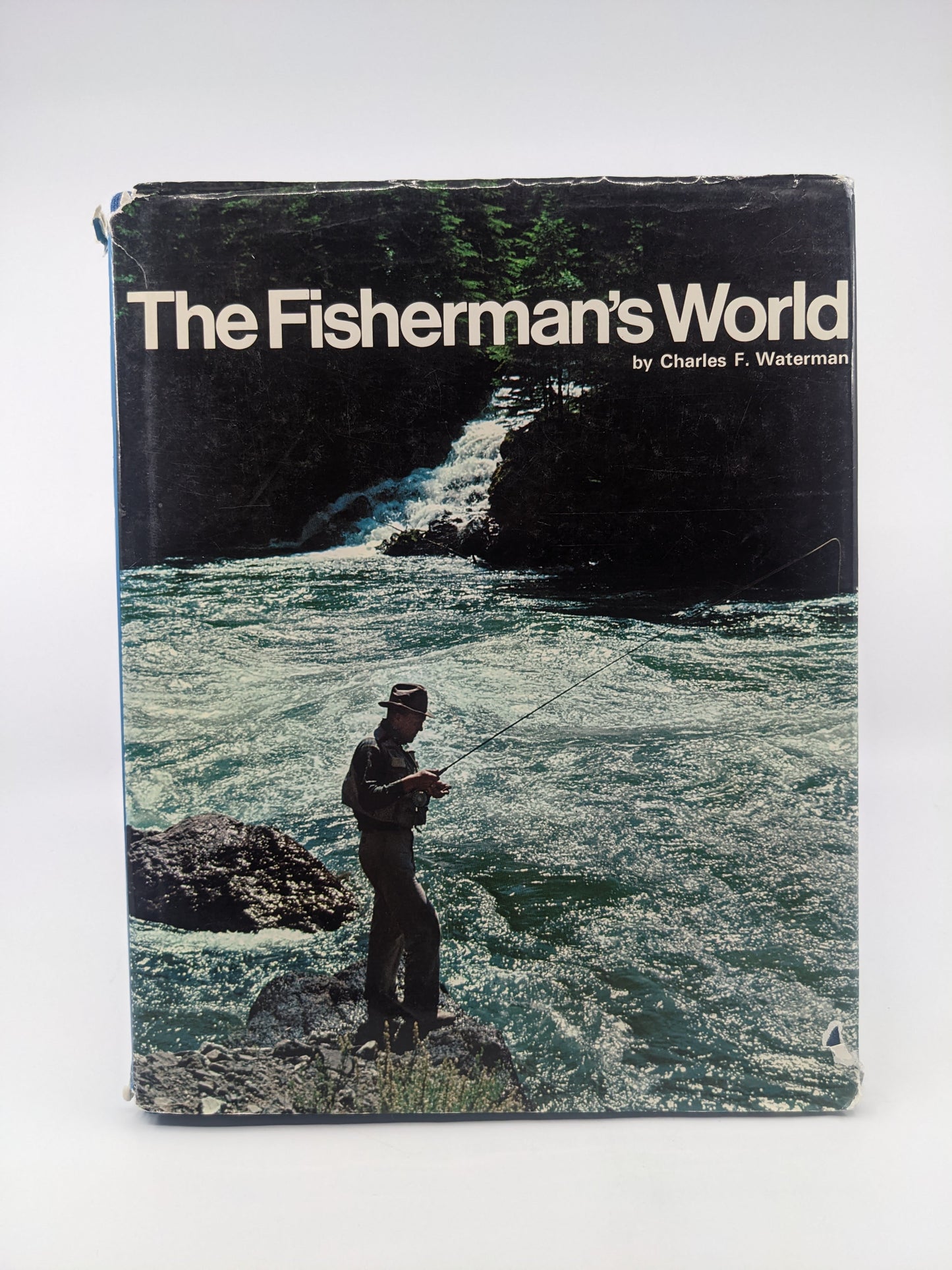 The Fisherman's World