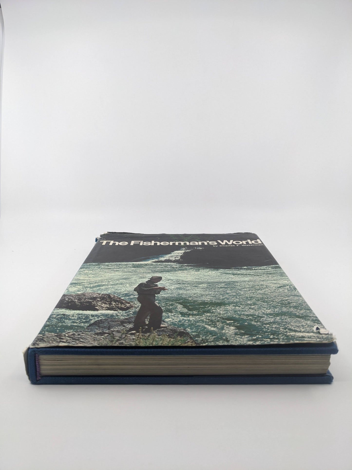 The Fisherman's World