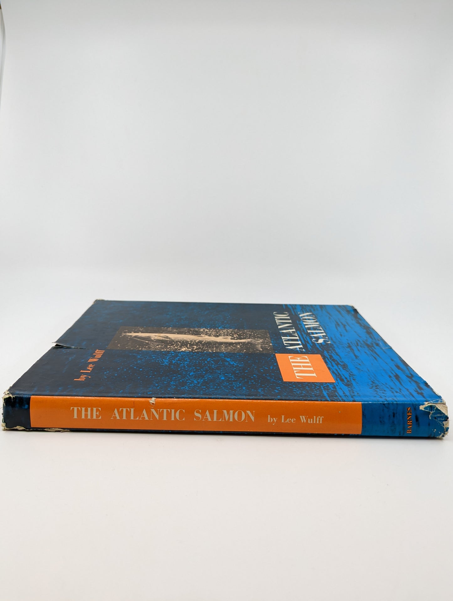 The Atlantic Salmon