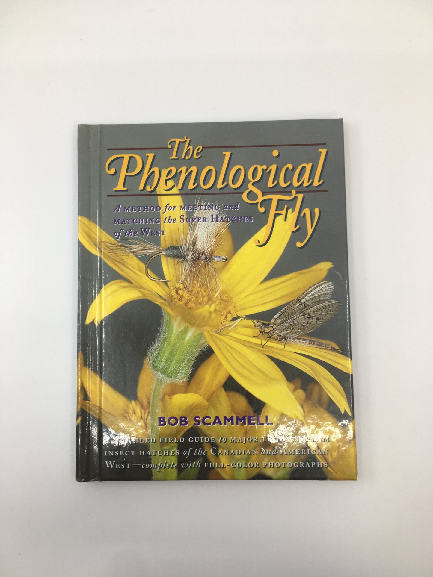 The Phenological Fly
