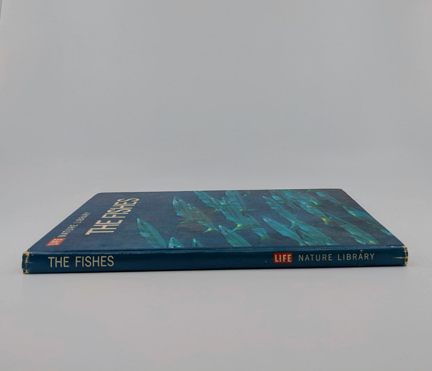 The Fishes (LIFE Nature Library)