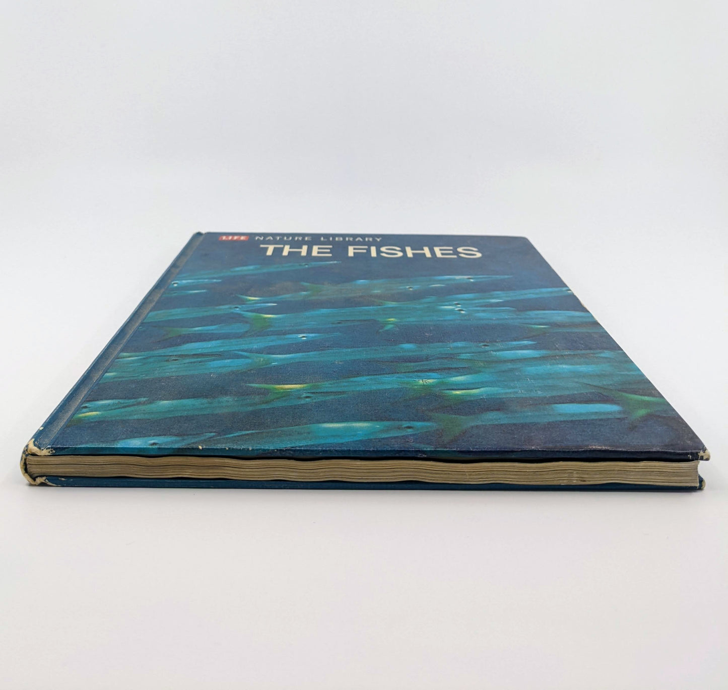 The Fishes (LIFE Nature Library)