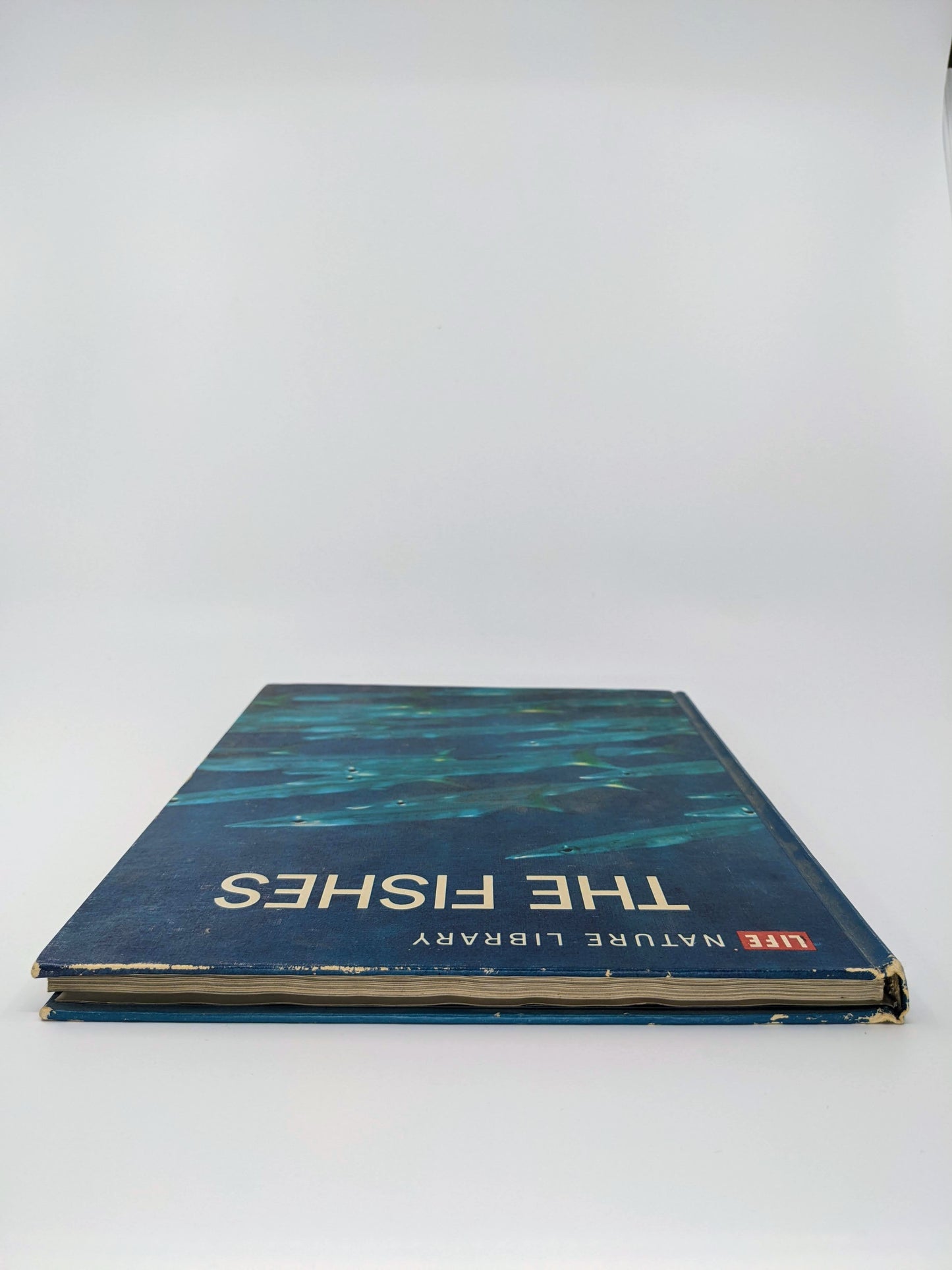 The Fishes (LIFE Nature Library)