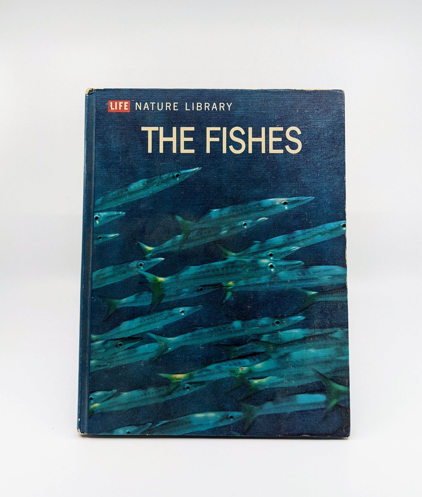 The Fishes (LIFE Nature Library)