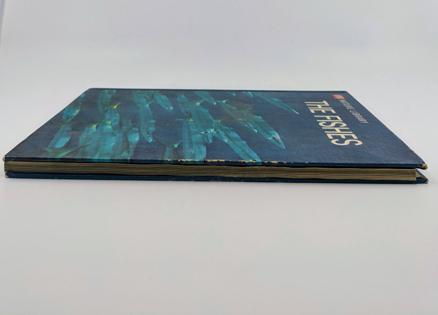 The Fishes (LIFE Nature Library)