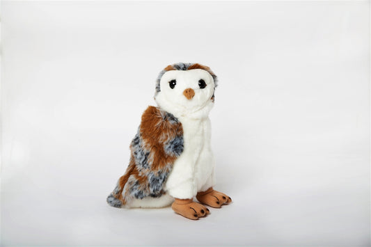 Barn Owl