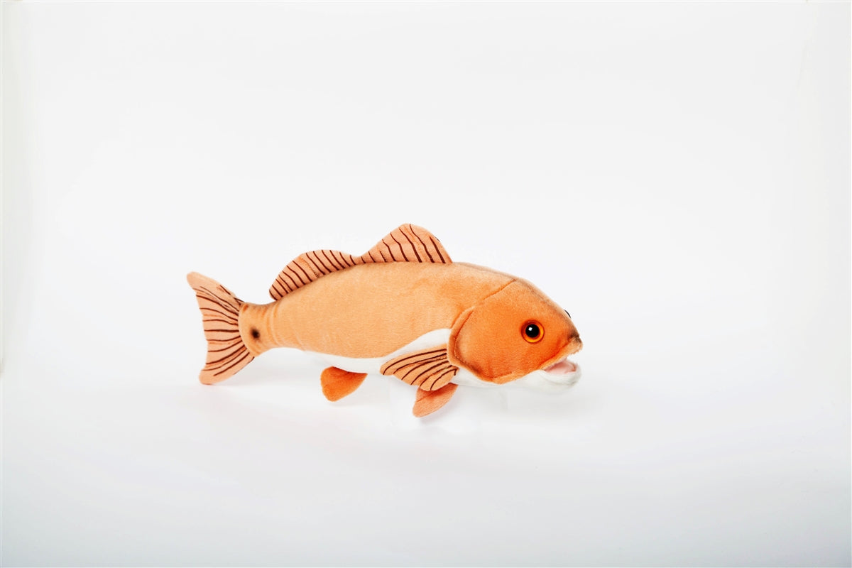 Red Fish