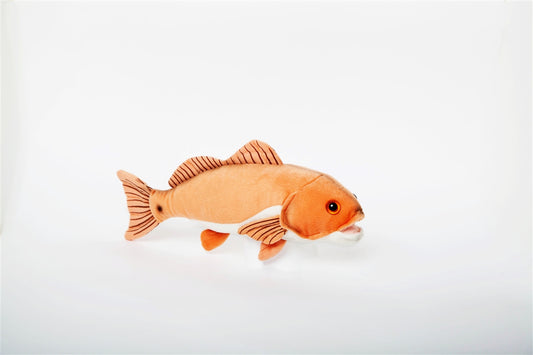 Red Fish
