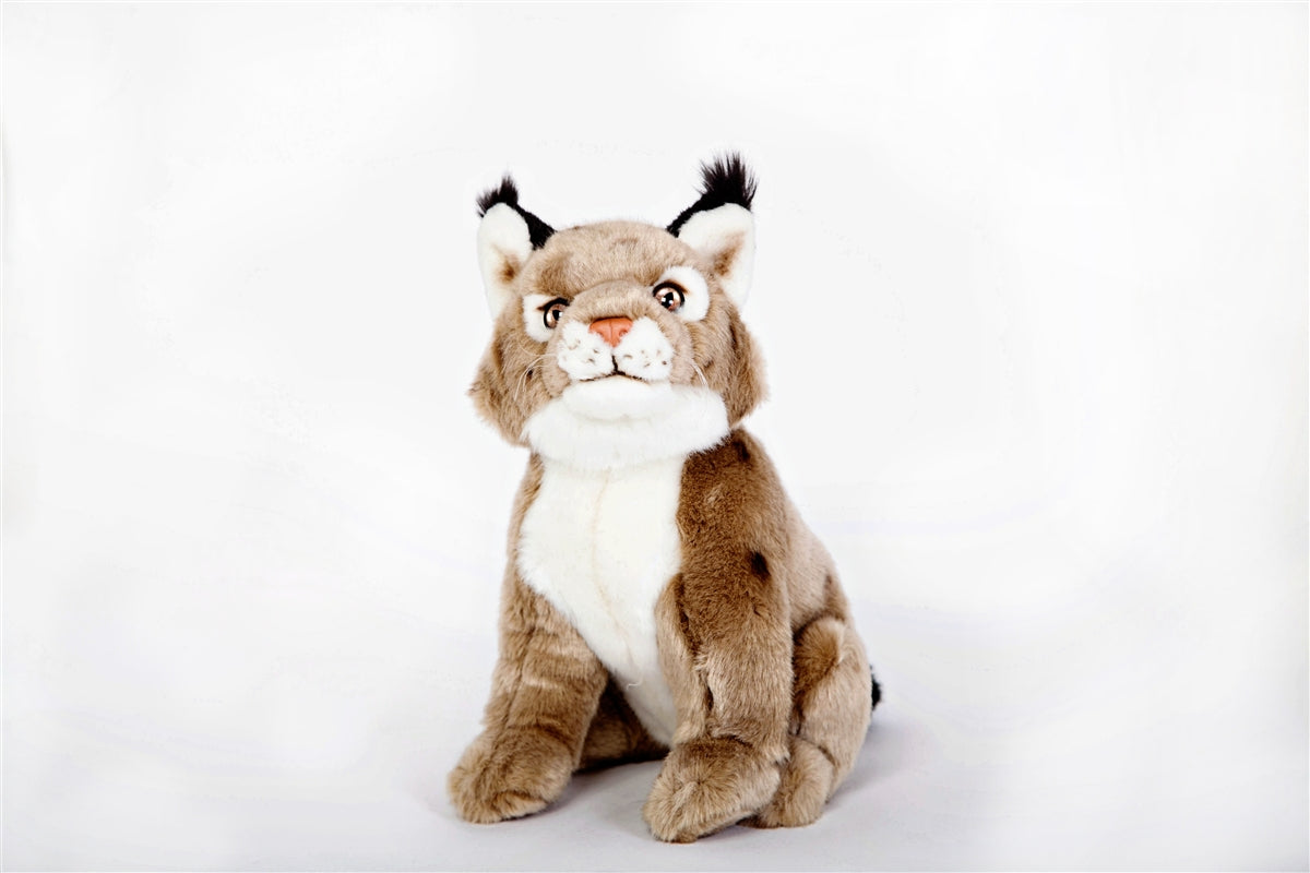 Lynx