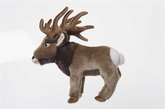 Elk