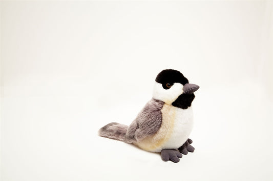 Chickadee