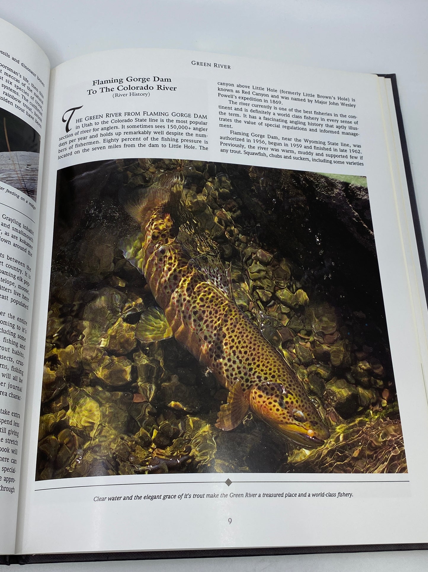 River Journal: Green River
