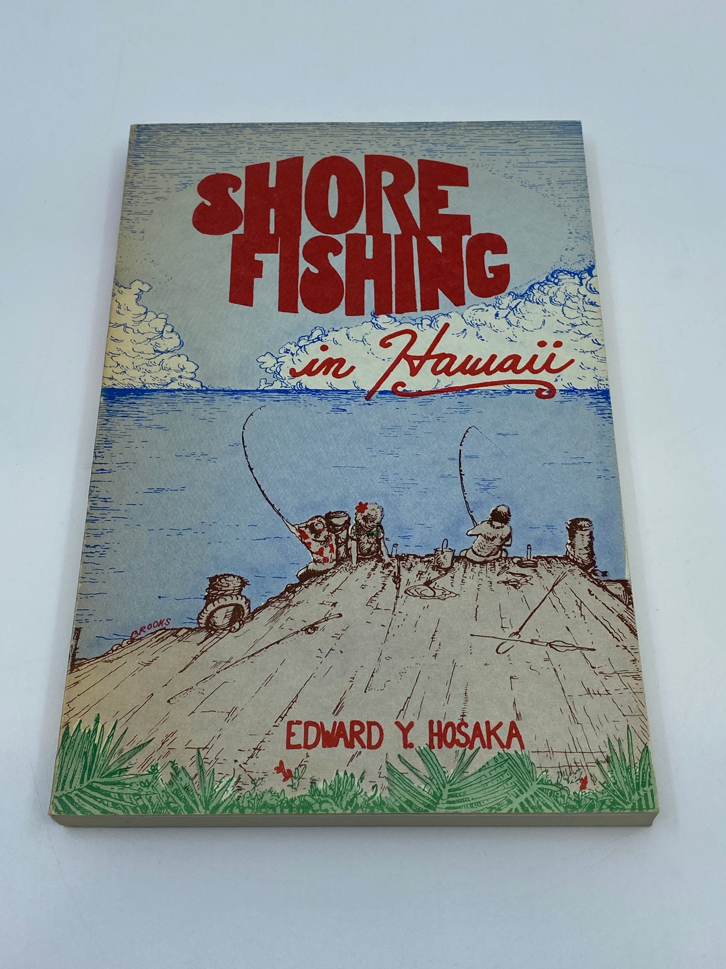Shore Fishing in Hawaii