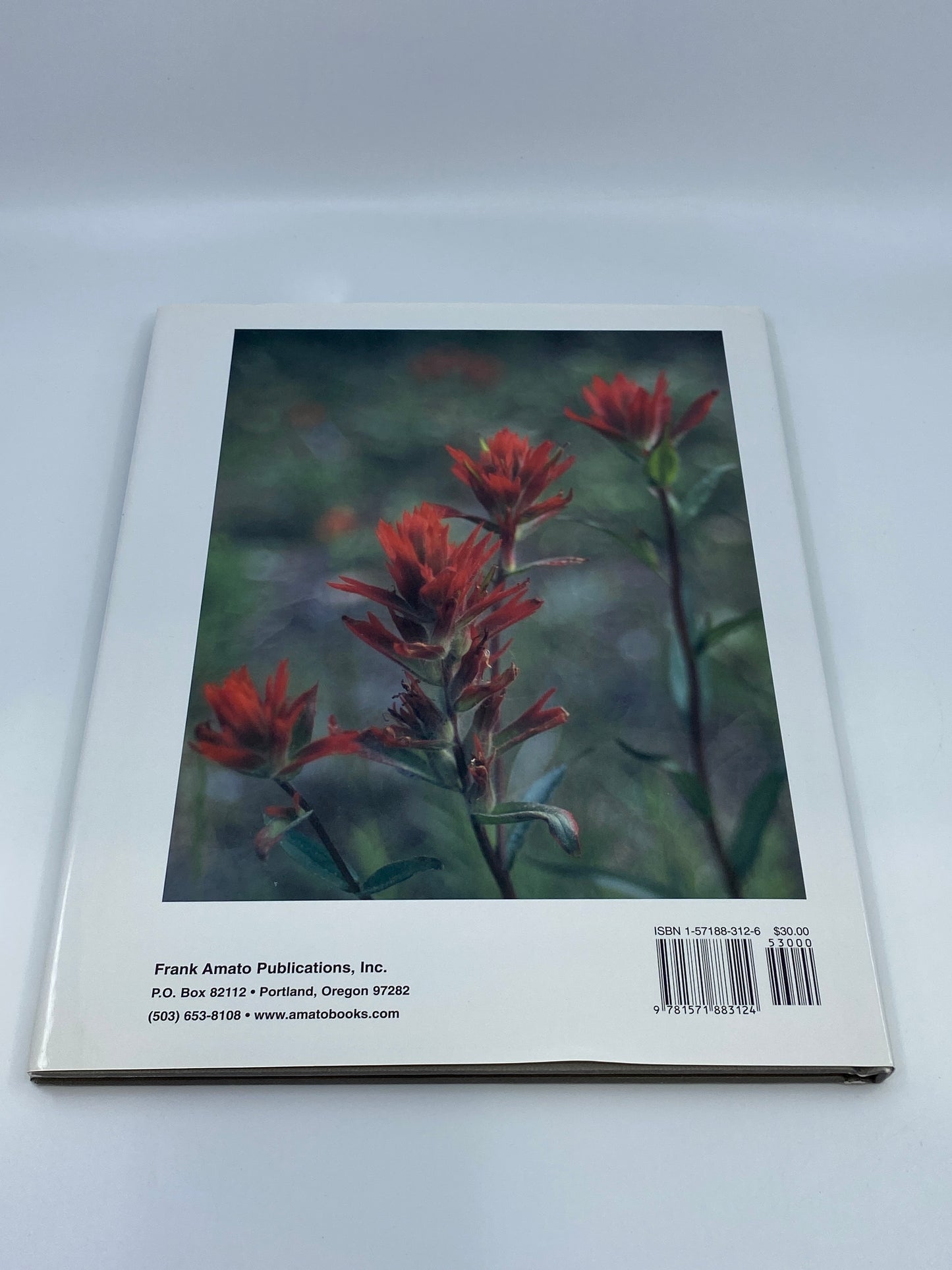 River Journal: Kispiox River