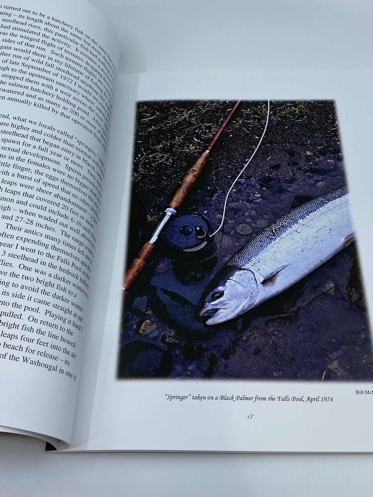 Bill McMillan—The Contemplative Steelhead Fly Fisher