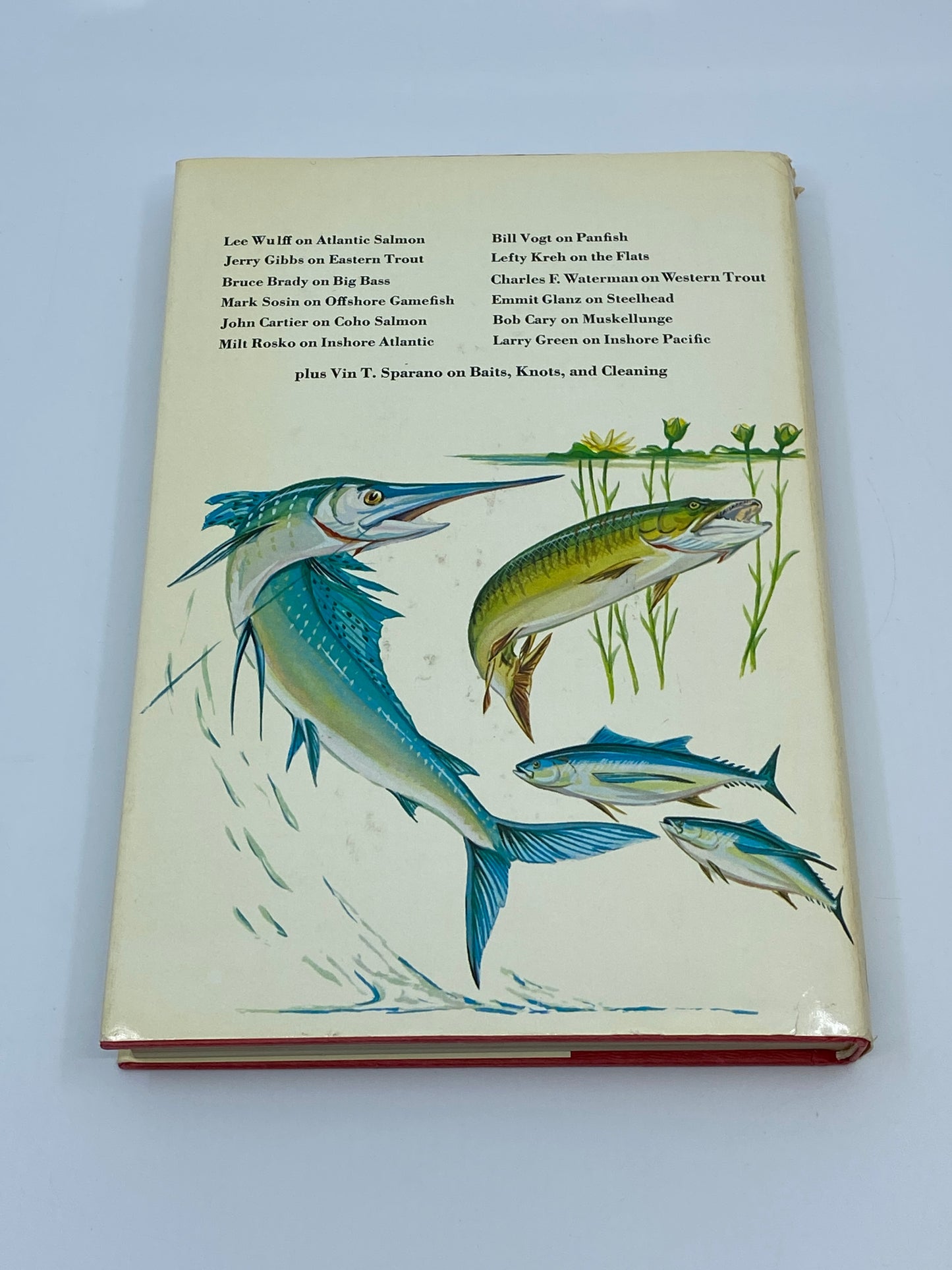 The American Fisherman's: Fresh and Salt Water Guide
