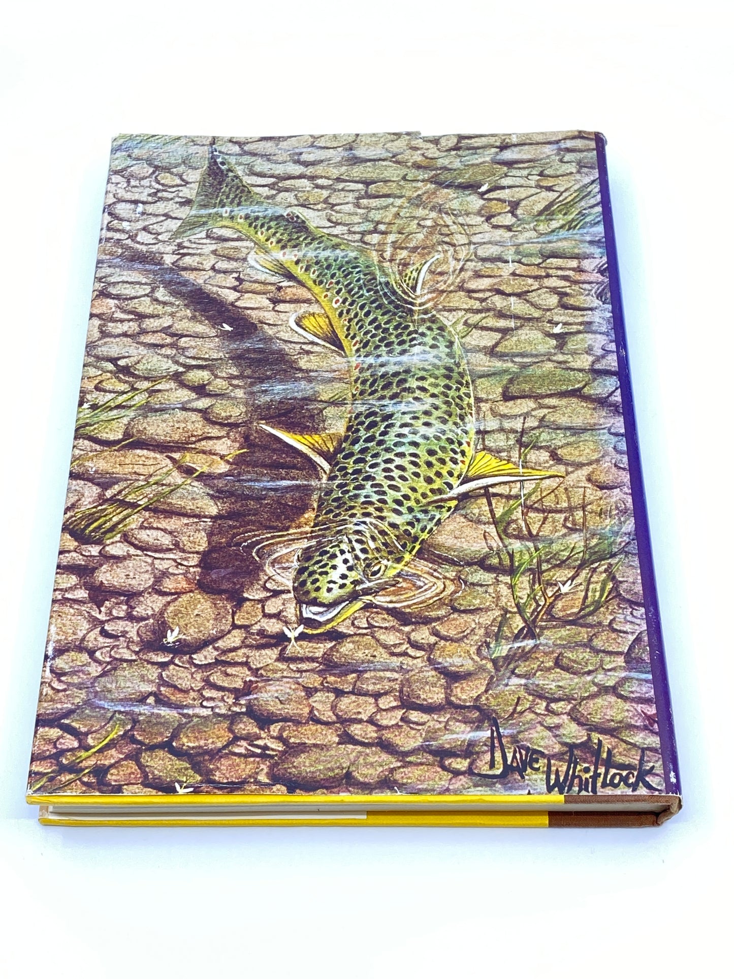 The Masters on the Dry Fly