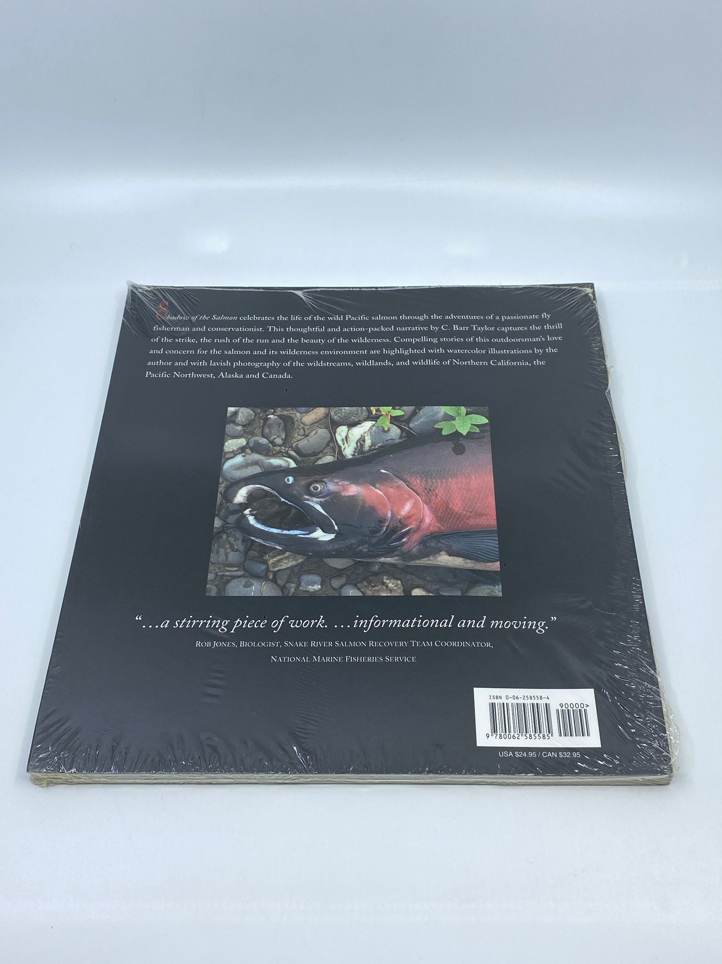 Shadow of the Salmon: A Fly Fisherman's Quest for the Vanishing Wild Salmon