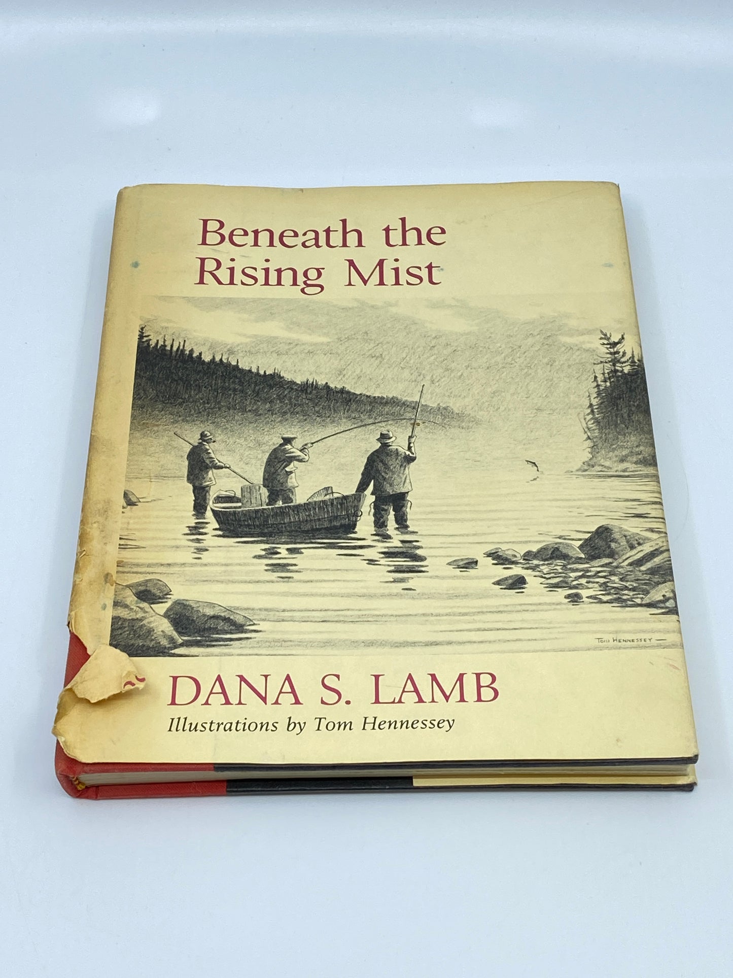 Beneath the Rising Mist