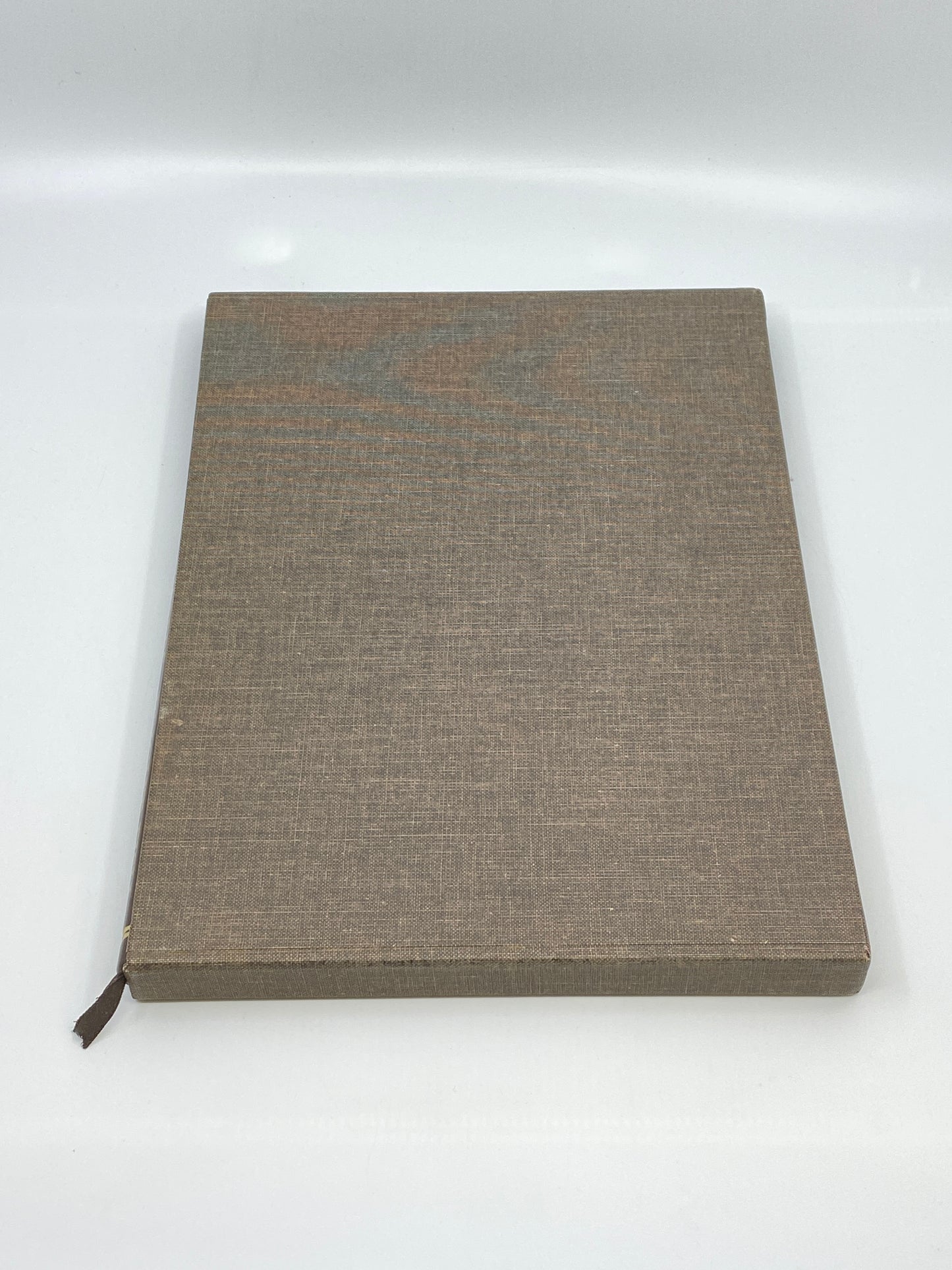 Bright Waters, Bright Fish