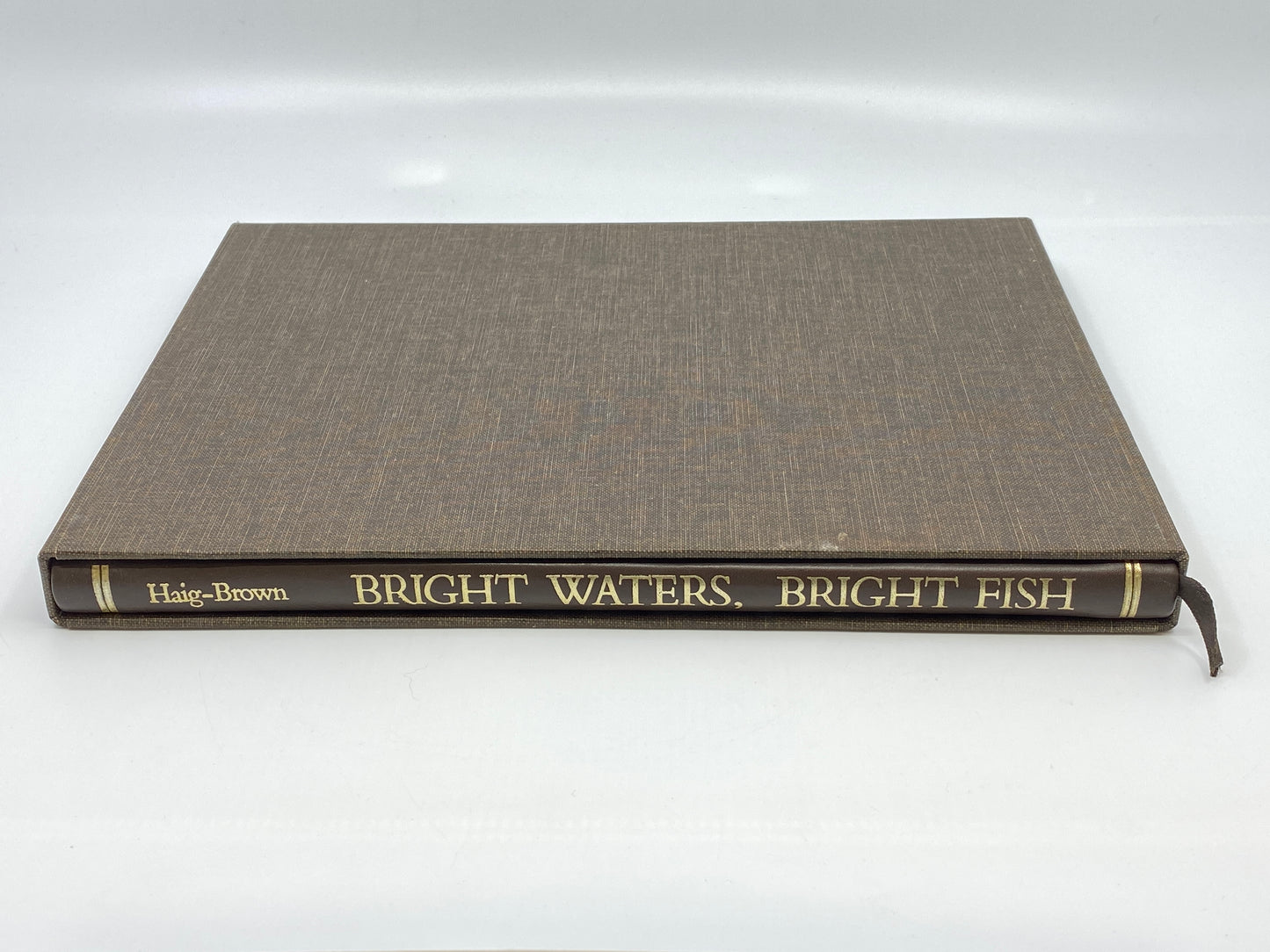 Bright Waters, Bright Fish