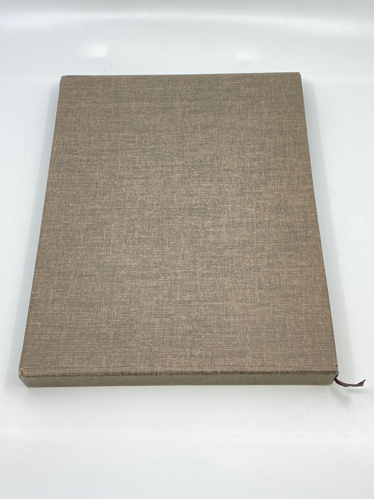 Bright Waters, Bright Fish