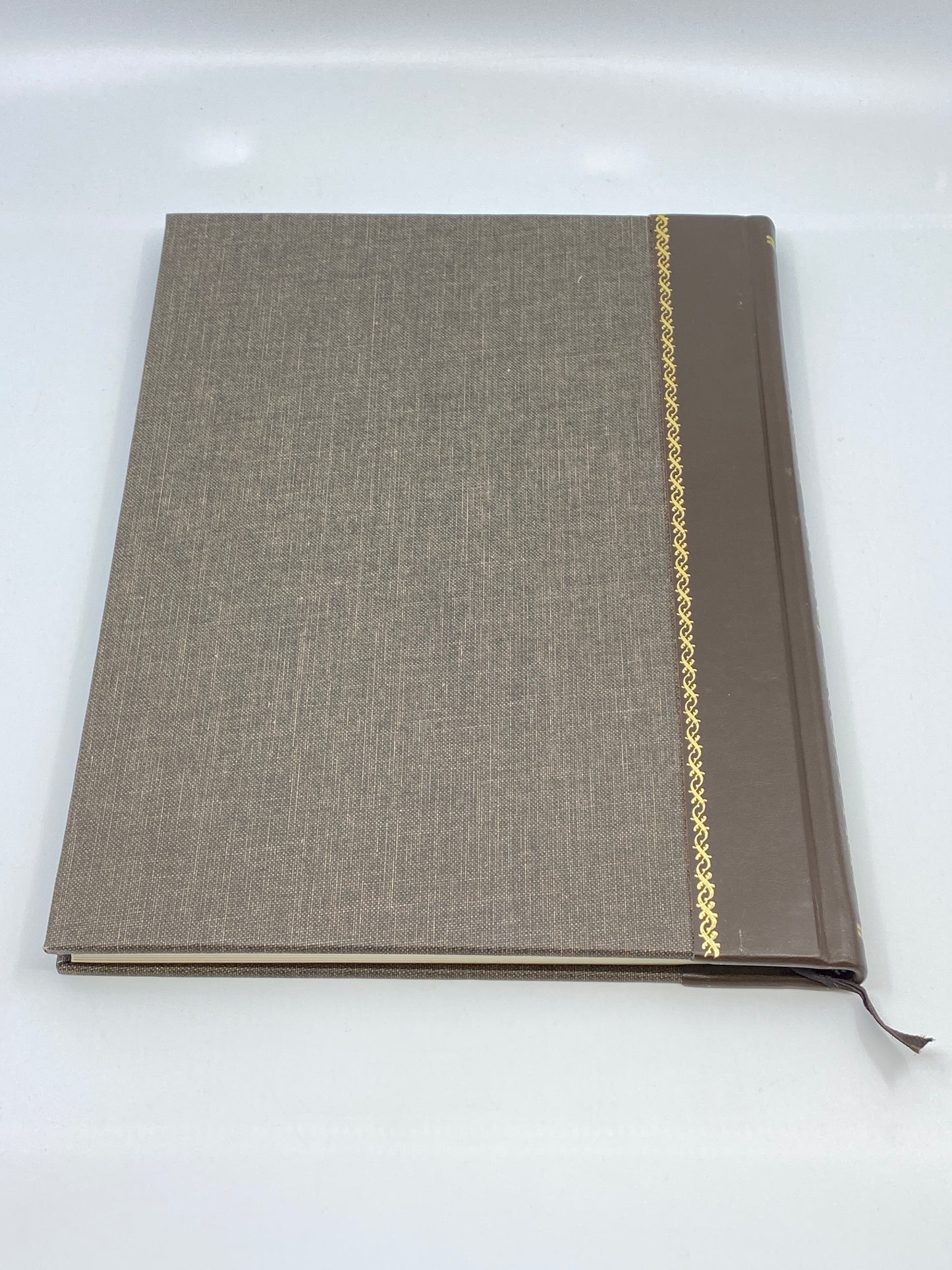 Bright Waters, Bright Fish