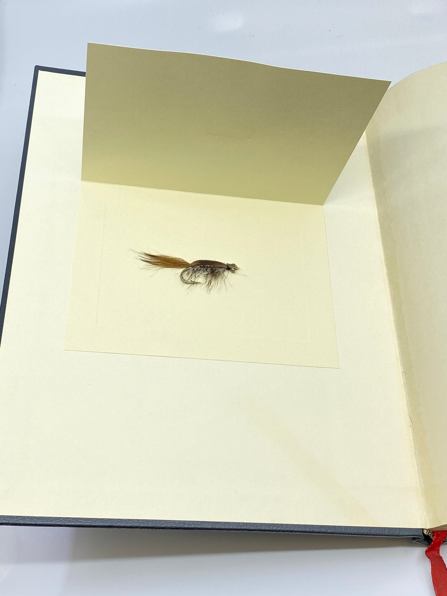 Fly Fishing for Pacific Salmon