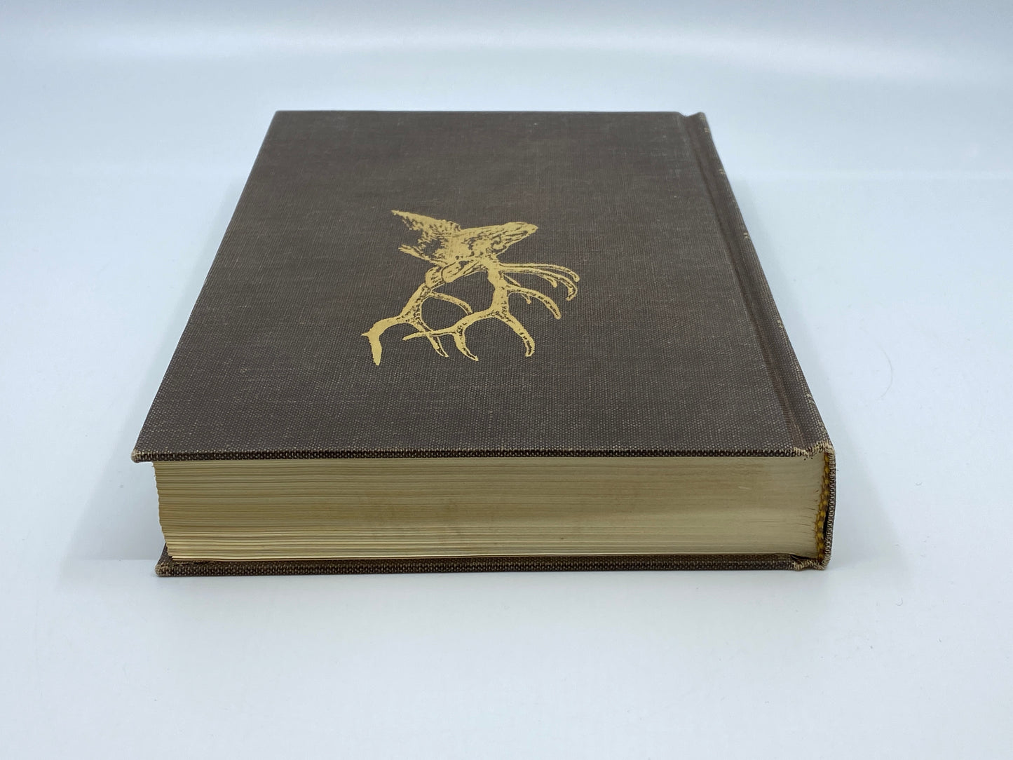 Strayed Shots and Frayed Lines