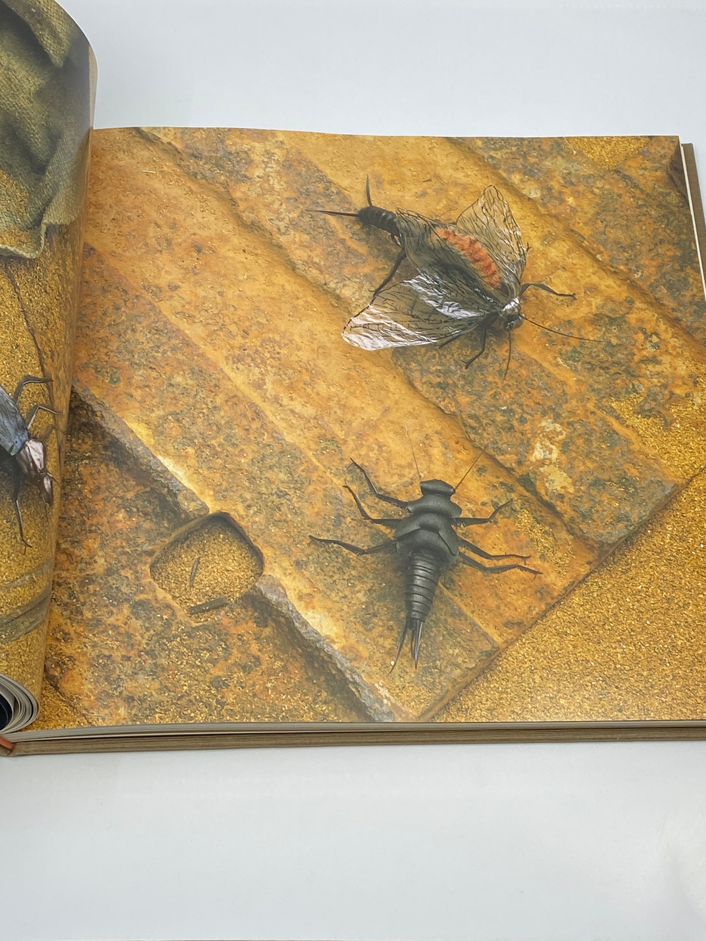 The Art of the Trout Fly
