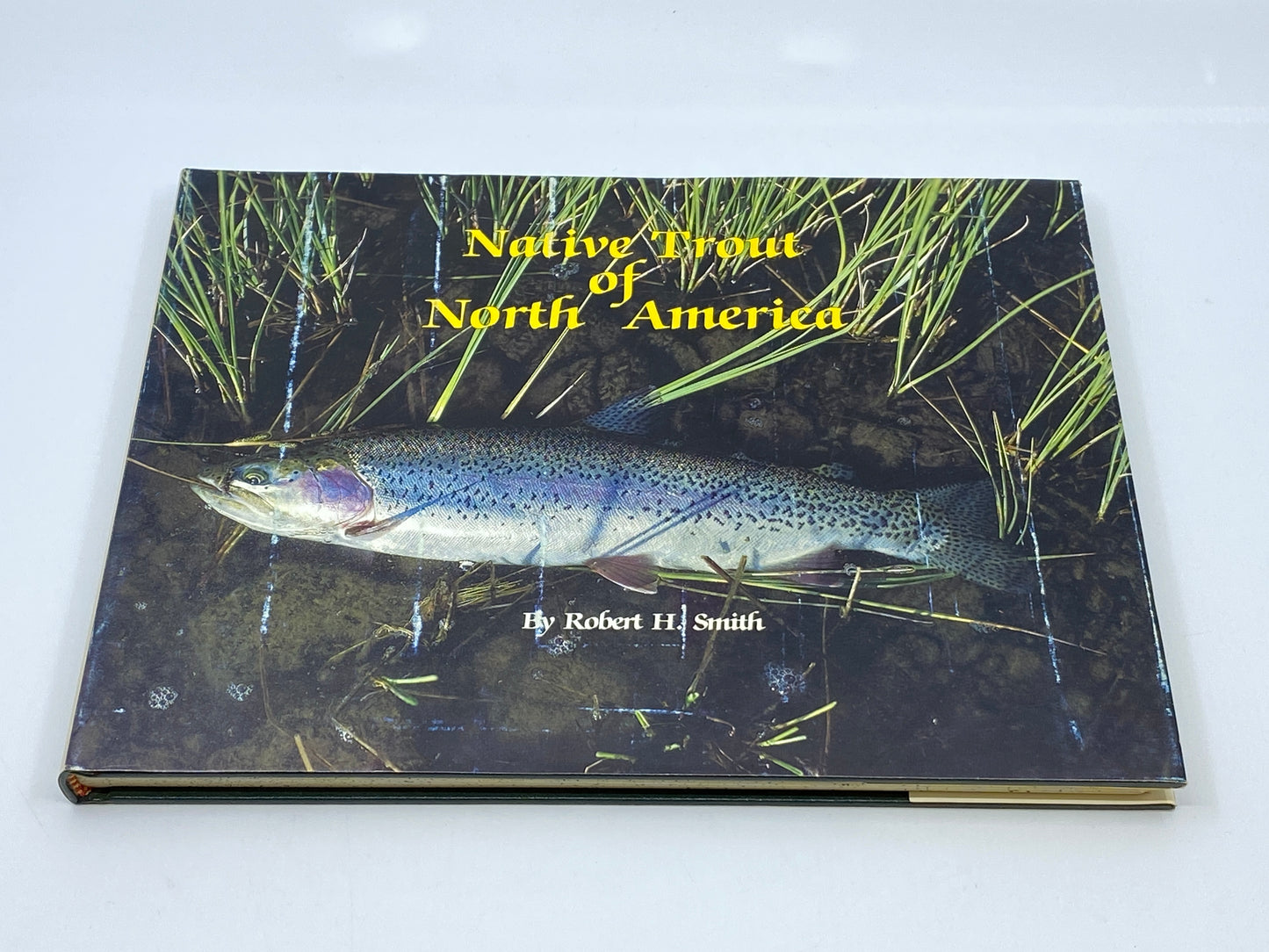 Native Trout of North America (Signed, Limited Edition)