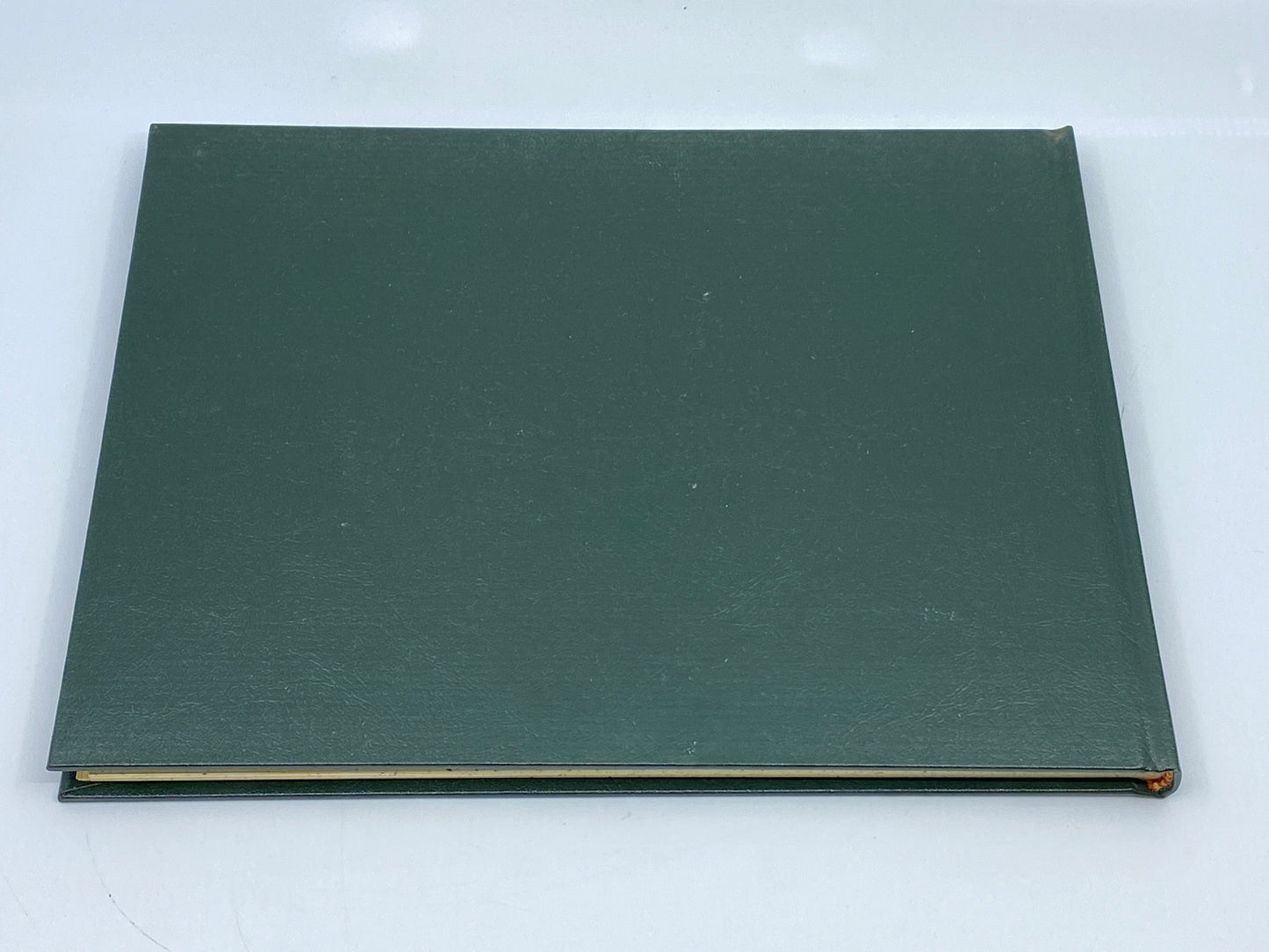 Native Trout of North America (Signed, Limited Edition)