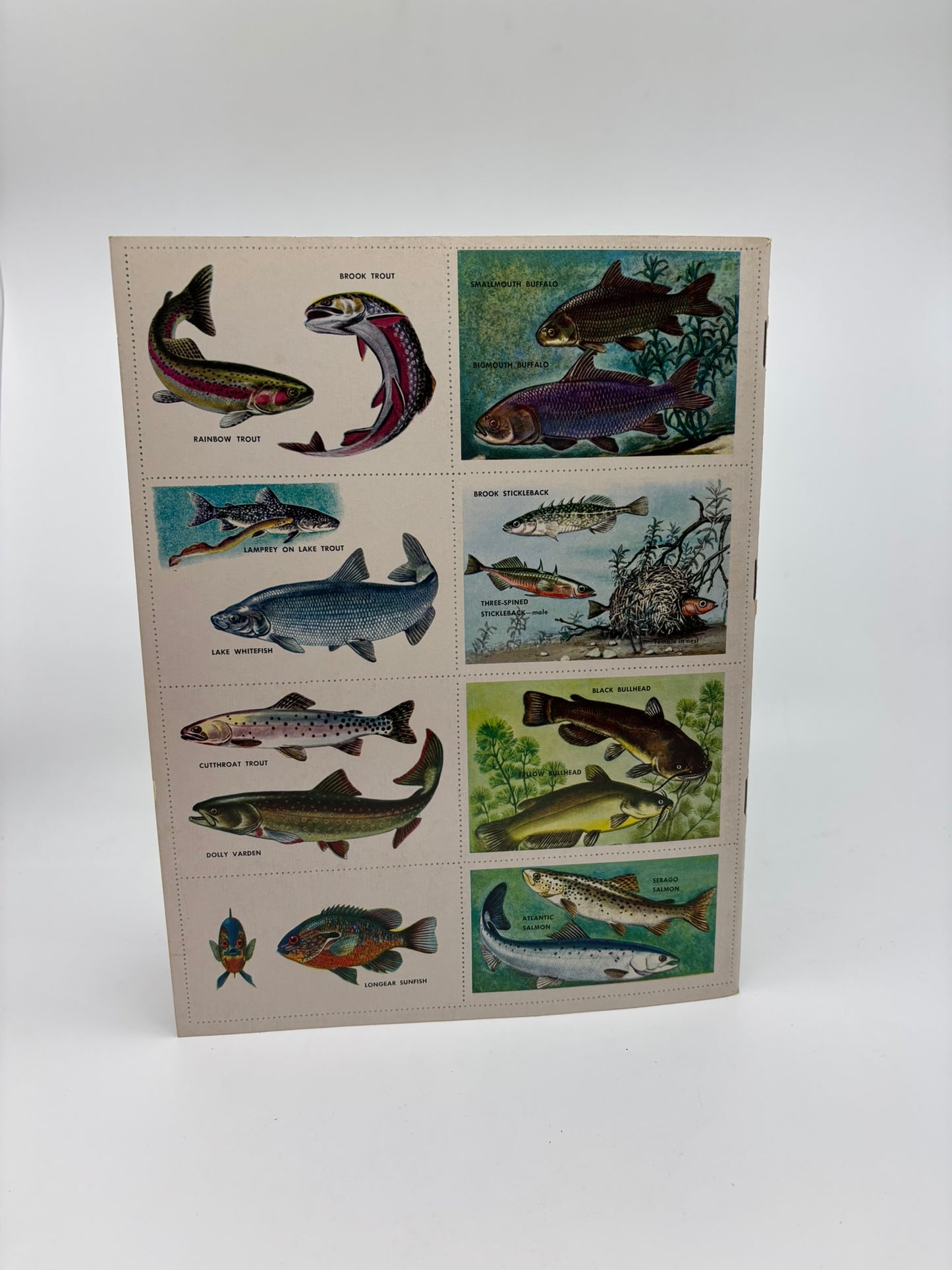The Golden Book of Fish Stamps