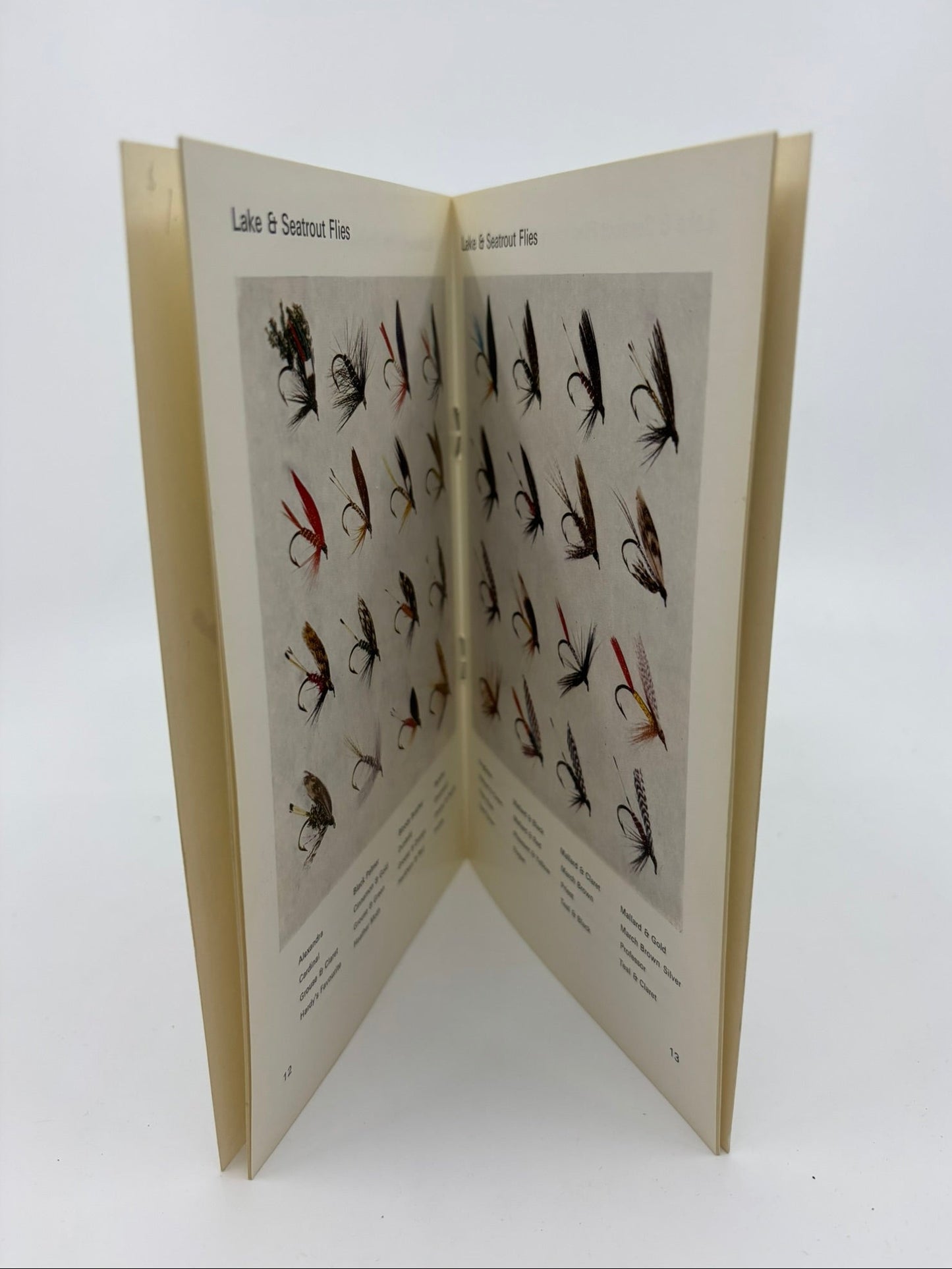 The Hardy Book Flies