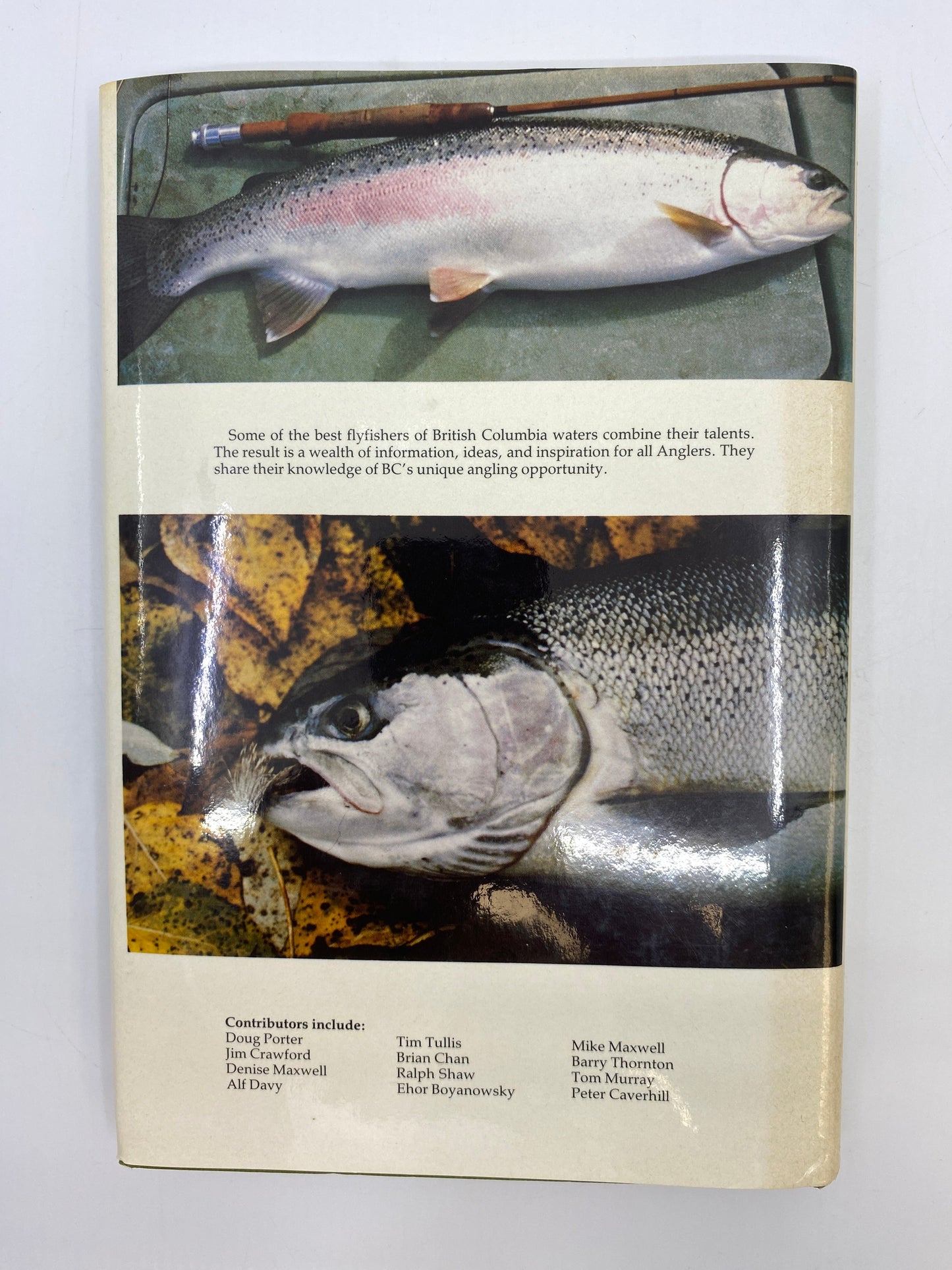 "The Gilly" A Flyfisher's Guide to British Columbia