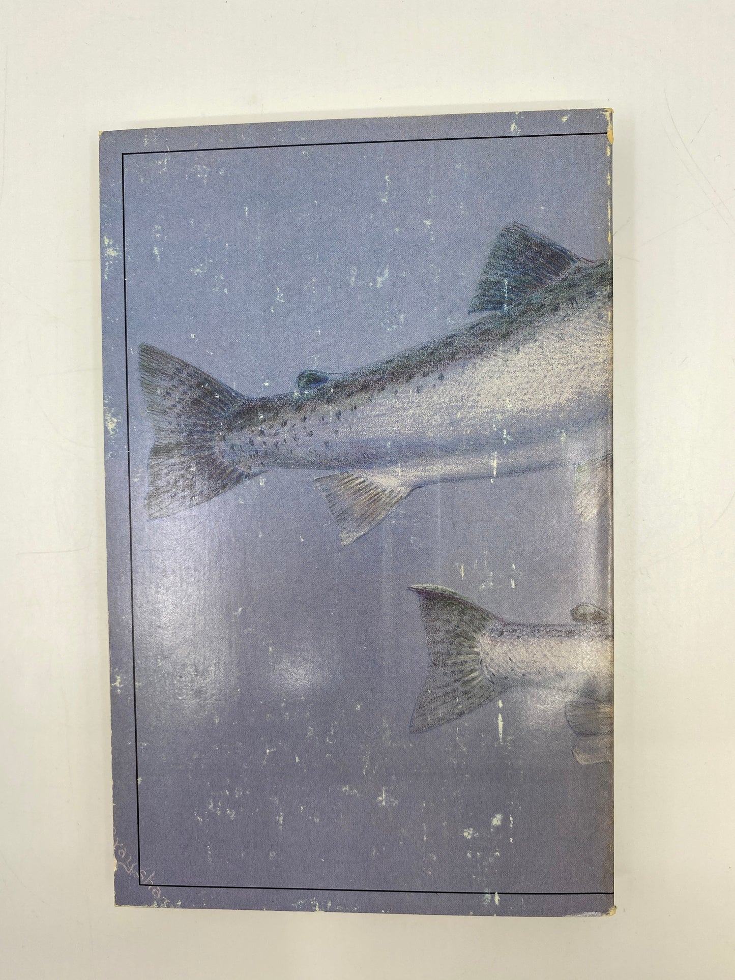 Kamloops: An Angler's Study of the Kamloops Trout