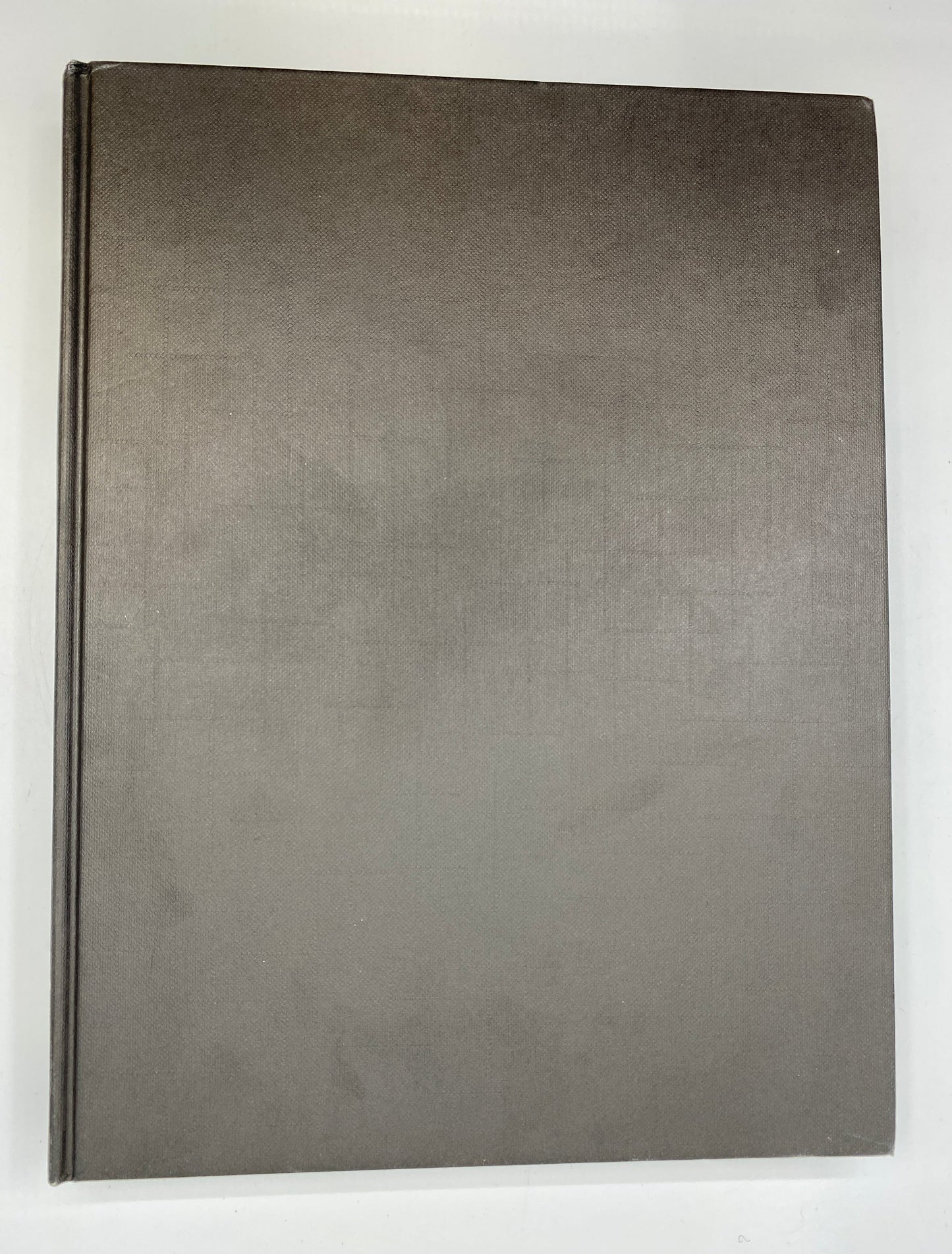Fish Flies: Volume One