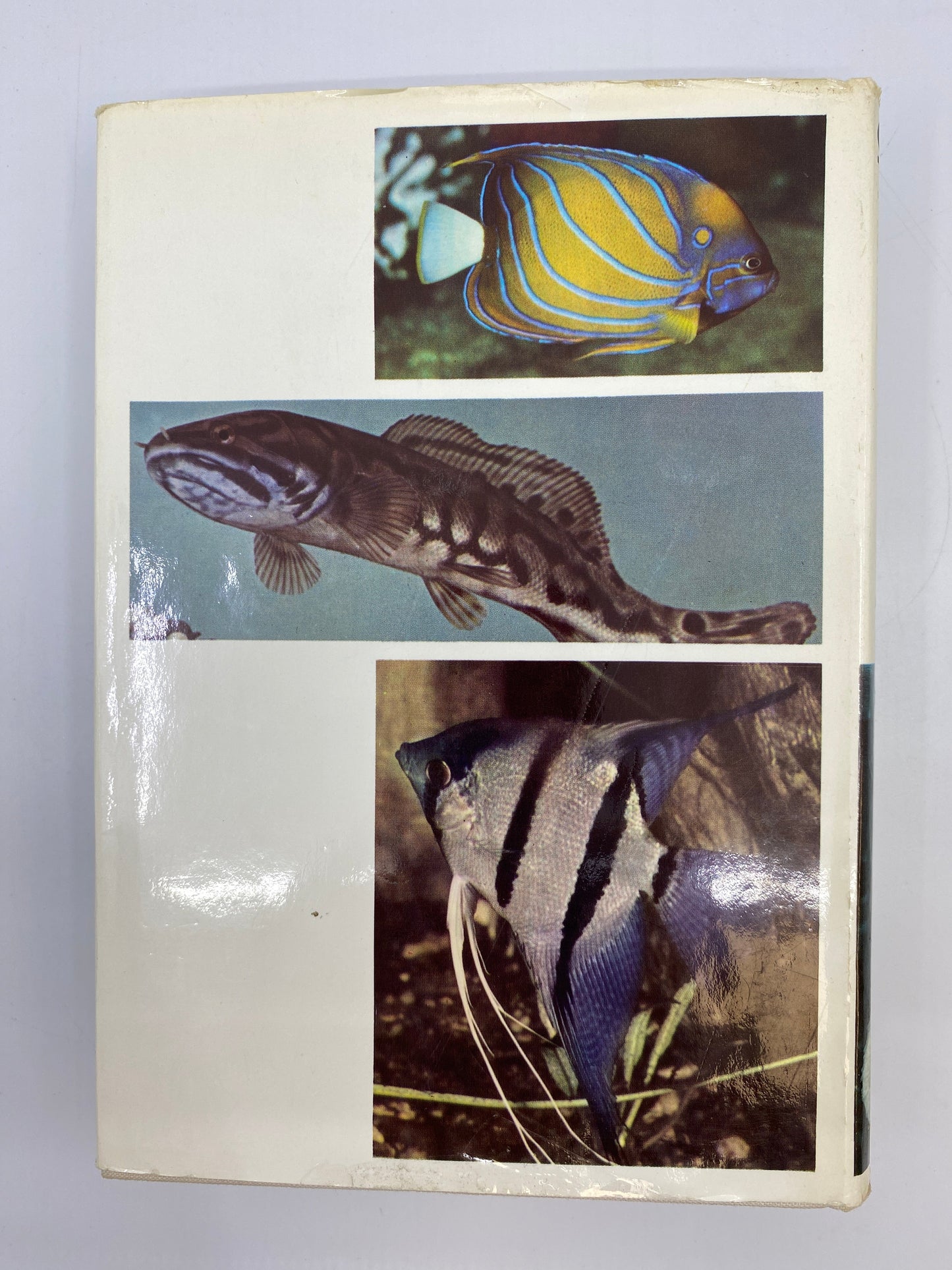 The Pictorial Encyclopedia of Fishes