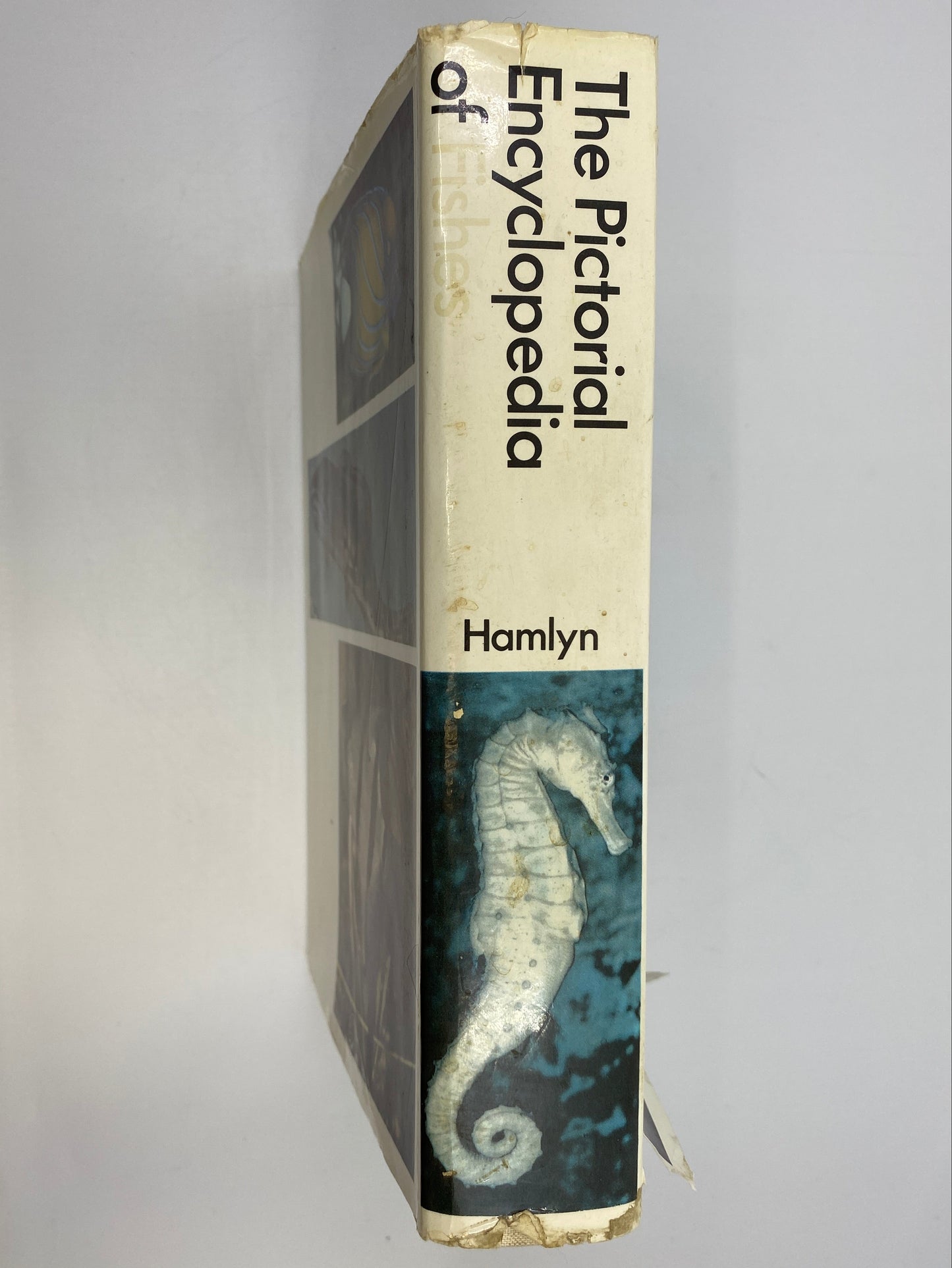 The Pictorial Encyclopedia of Fishes