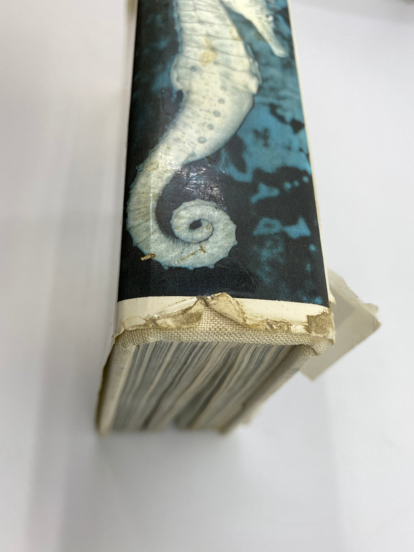 The Pictorial Encyclopedia of Fishes