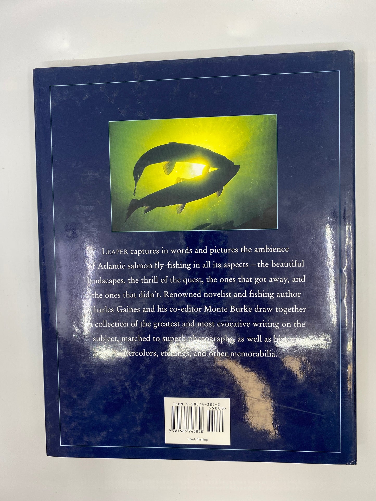 Leaper: The Wonderful World of Atlantic Salmon Fishing