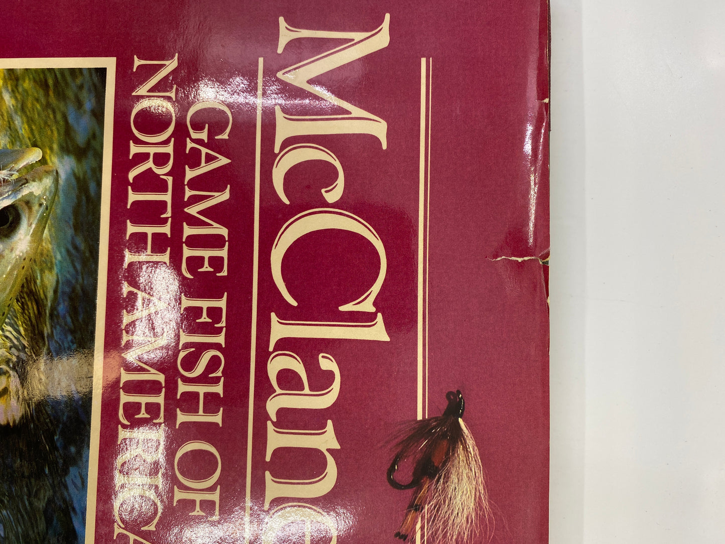 McClane's Game Fish of North America