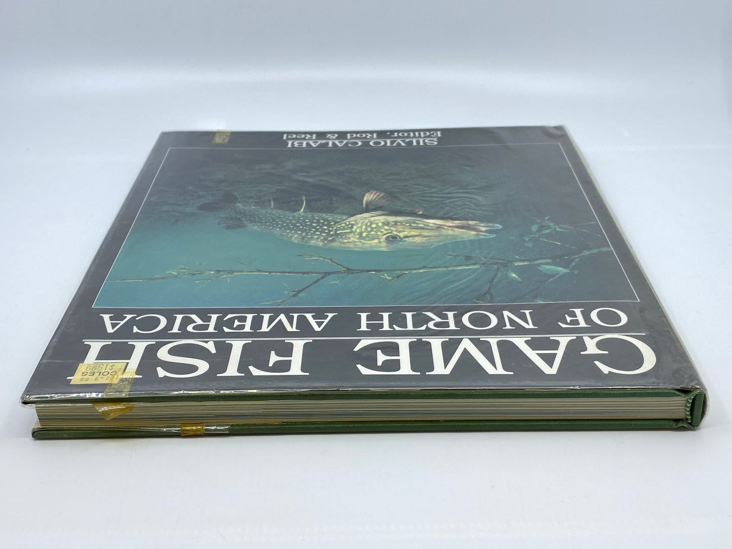 Game Fish of North America