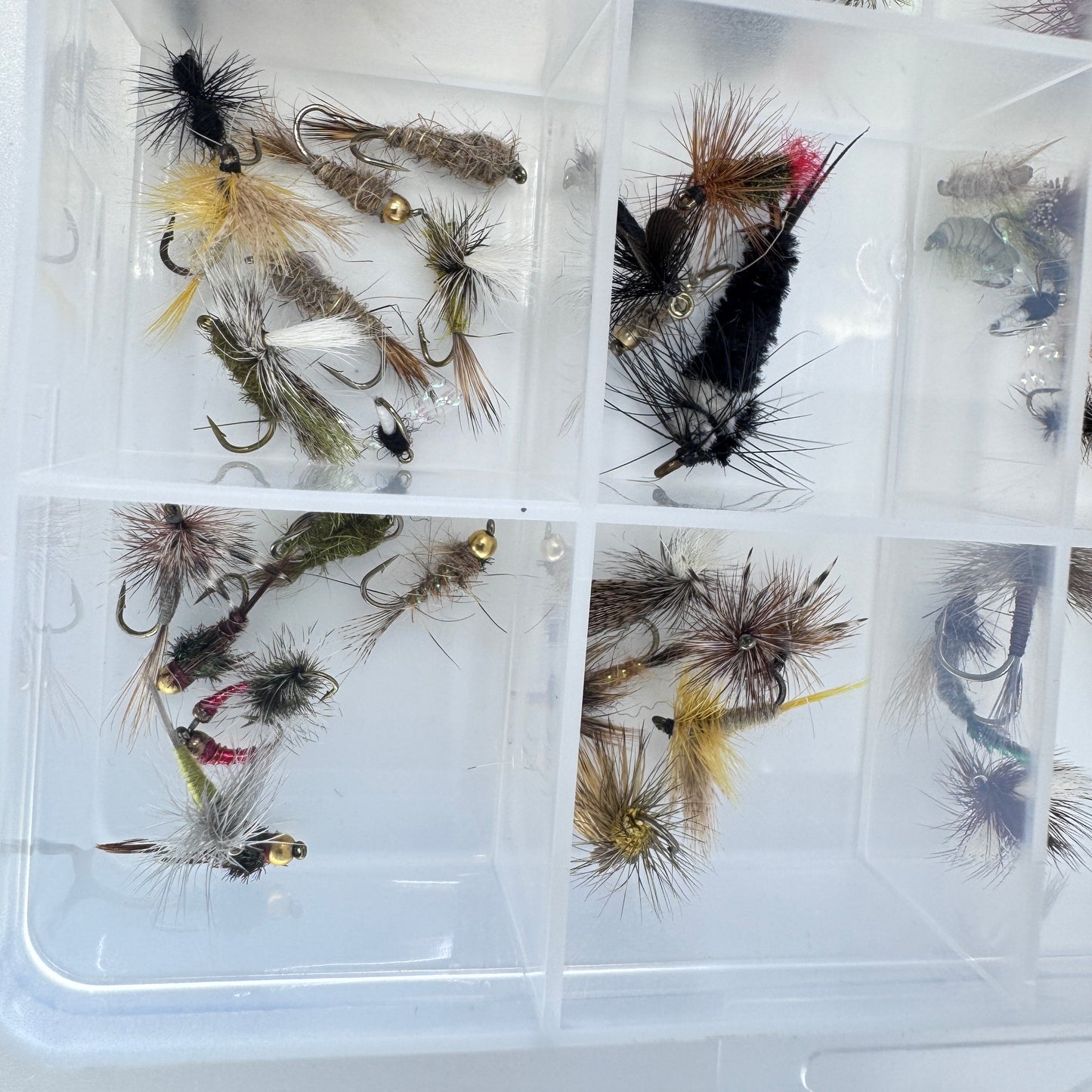 The Ultimate Trout Box