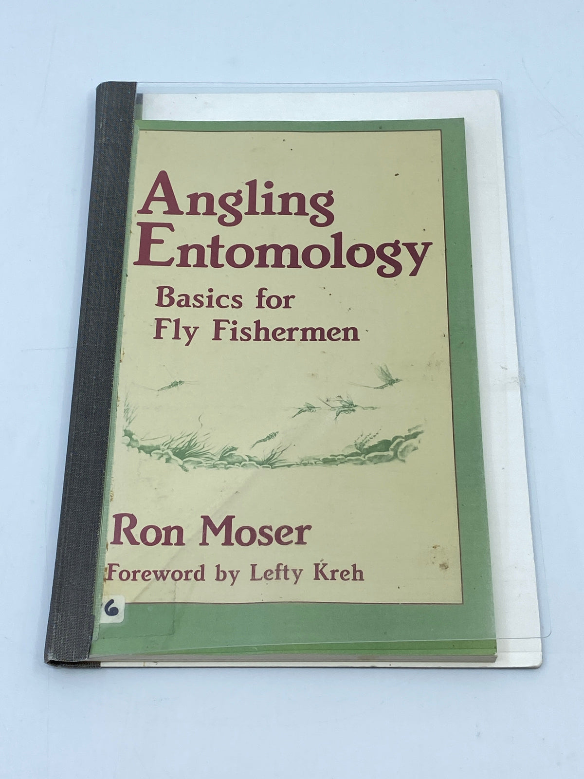 Angling Entomology Basics for Fly Fishermen