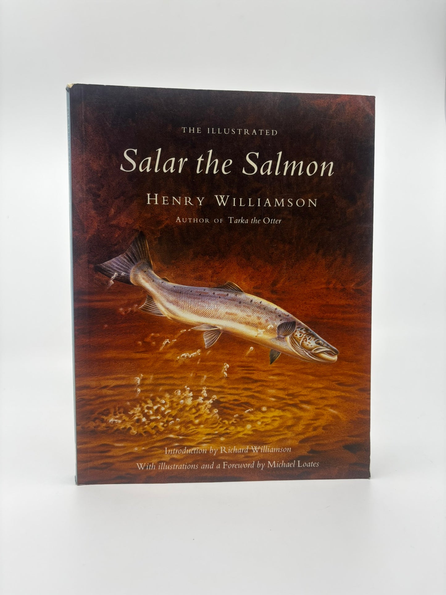 The Illustrated Salar the Salmon
