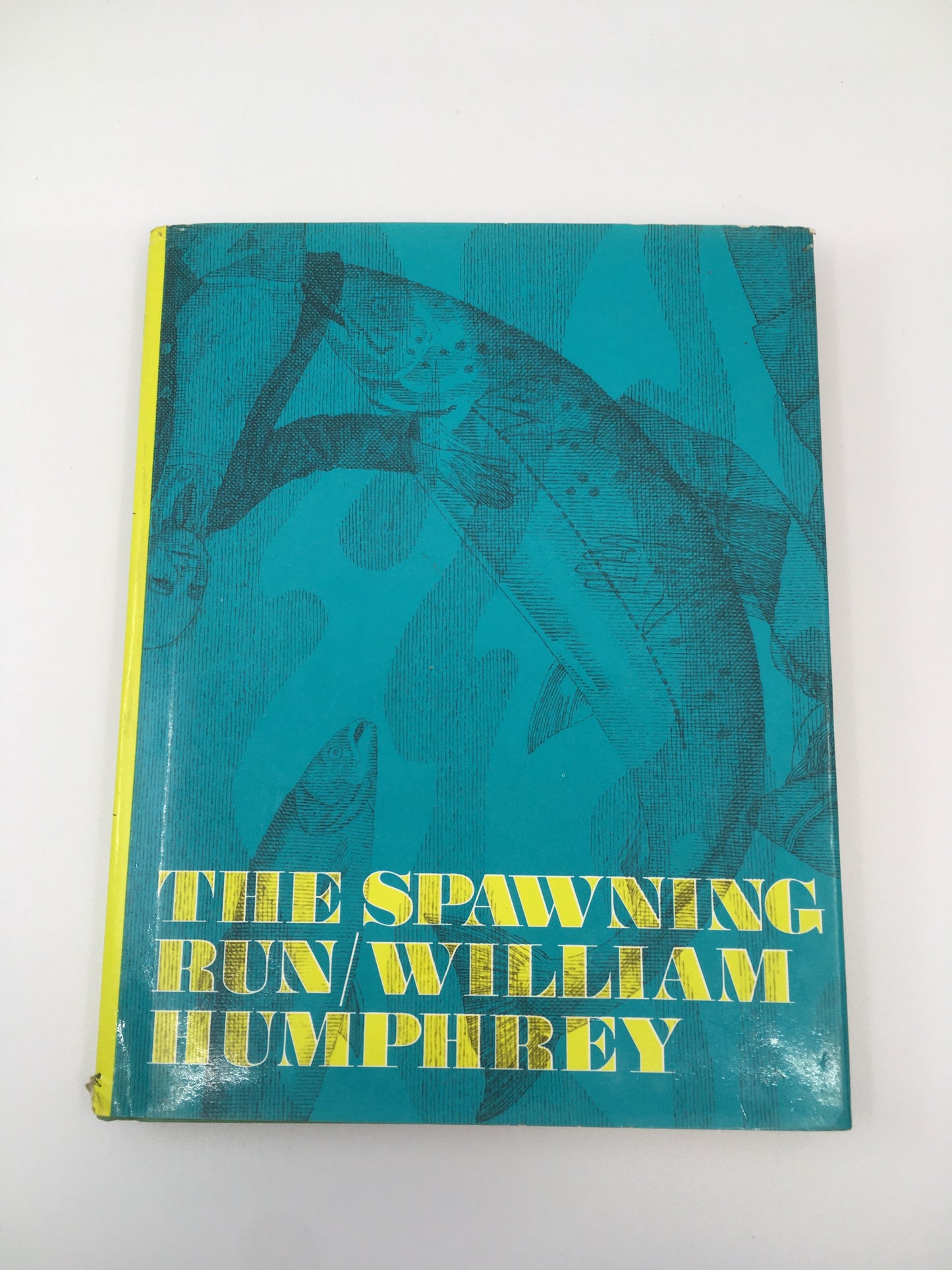The Spawning Run