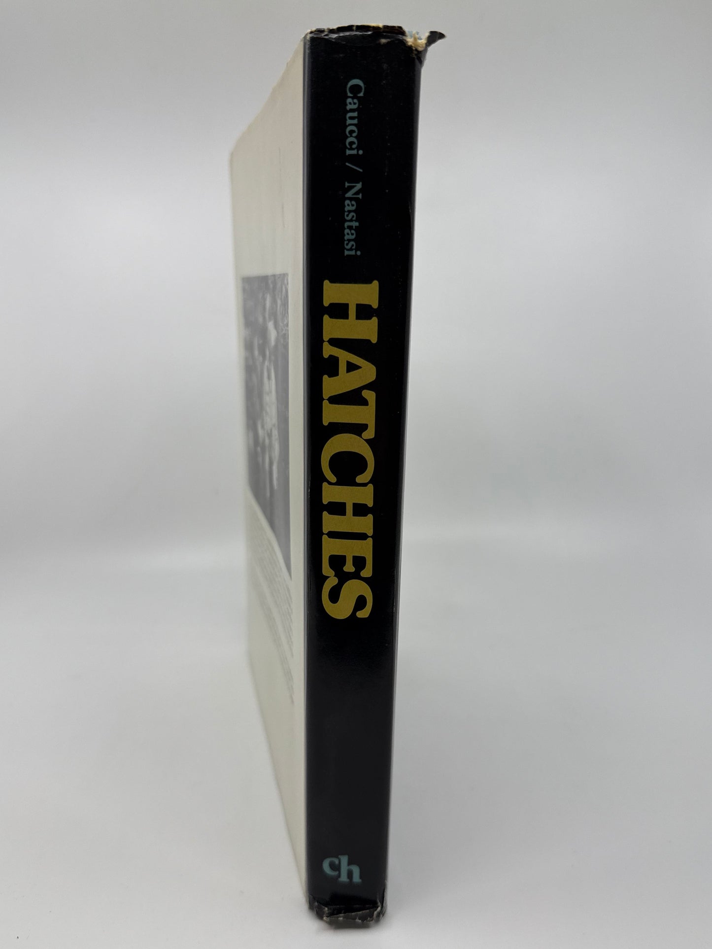Hatches - Signed