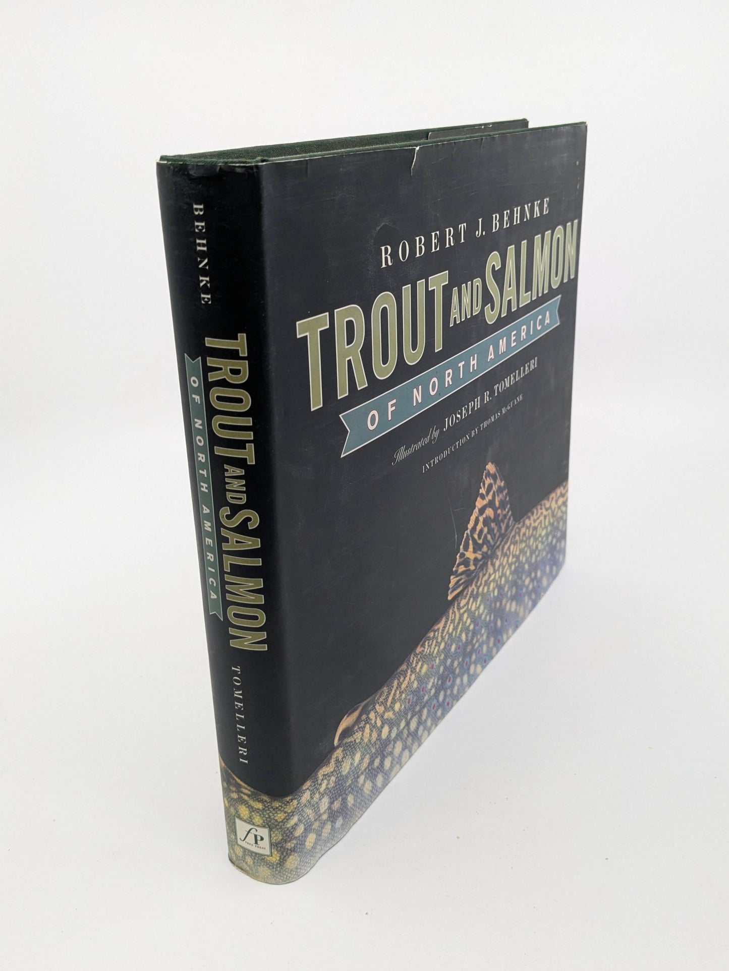 Trout and Salmon of North America