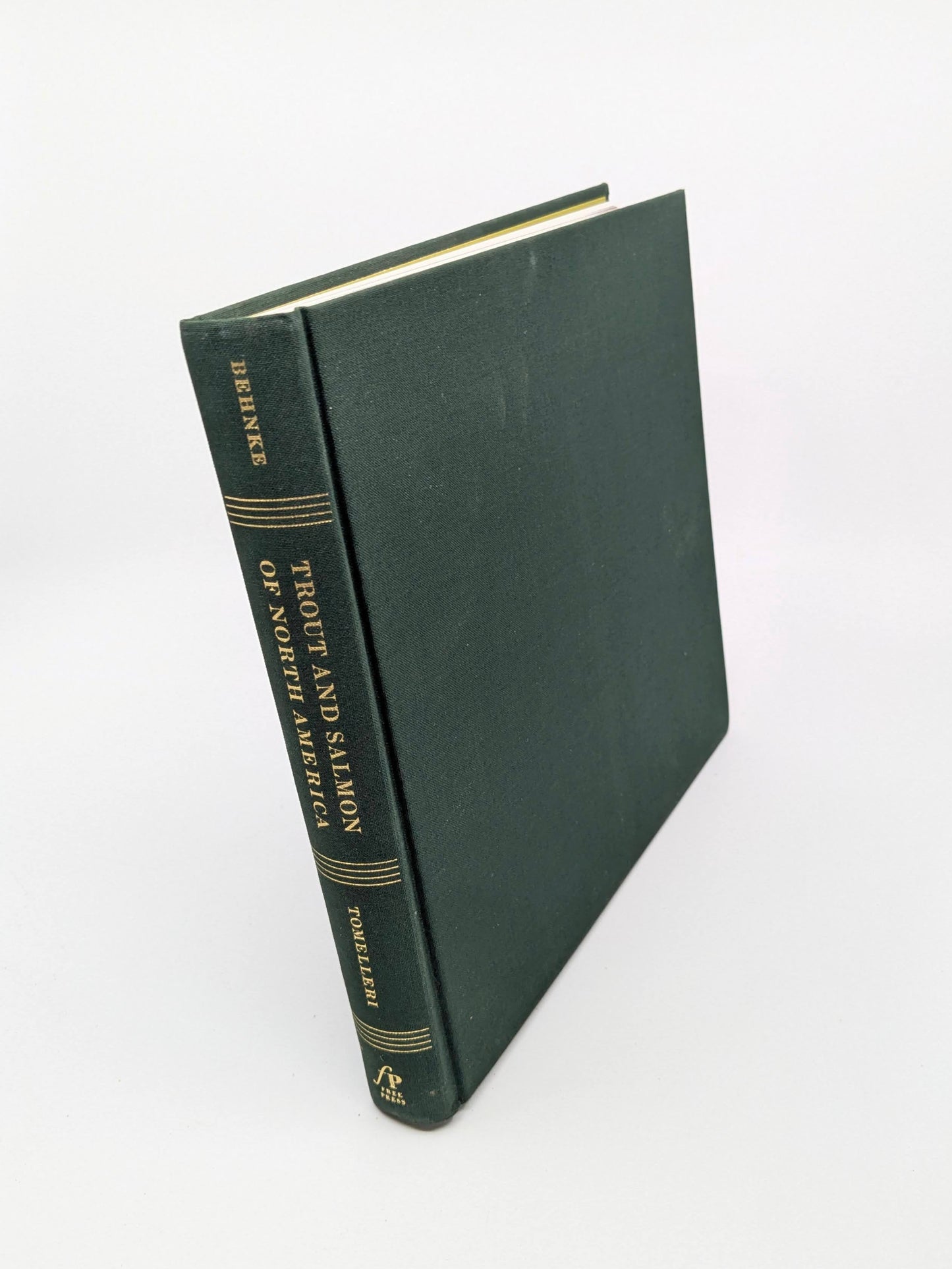 Trout and Salmon of North America